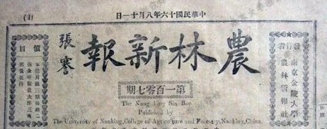 12968